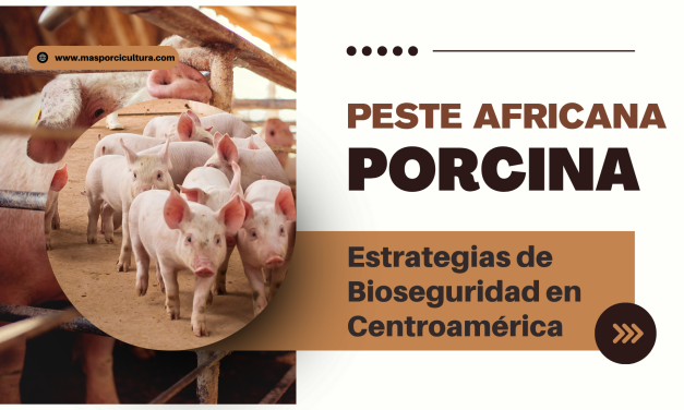 Peste Porcina Africana: Estrategias de Bioseguridad en Centroamérica  (Parte 1)
