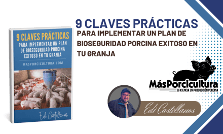 9 Claves Prácticas para Implementar un Plan de Bioseguridad Porcina Exitoso en tu Granja