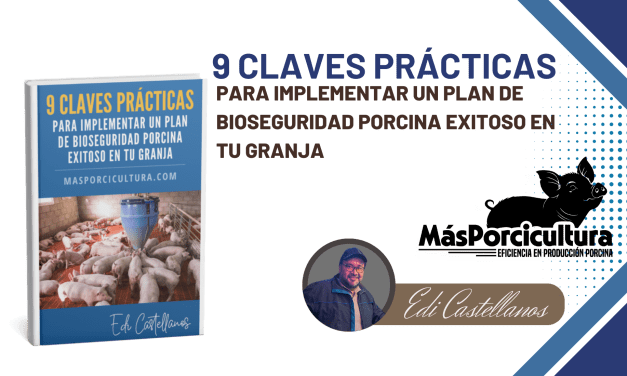 9 Claves Prácticas para Implementar un Plan de Bioseguridad Porcina Exitoso en tu Granja