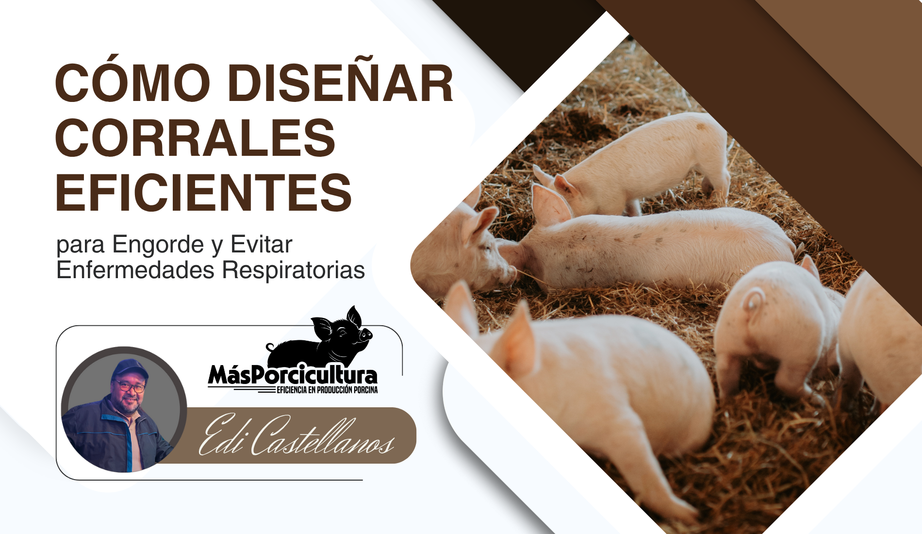 Tips y consejos de corrales eficientes