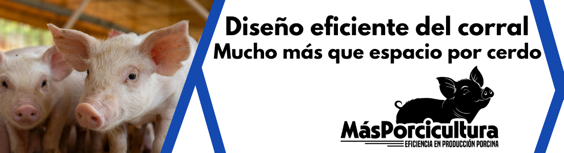 Mucho mas espacio que cerdos
