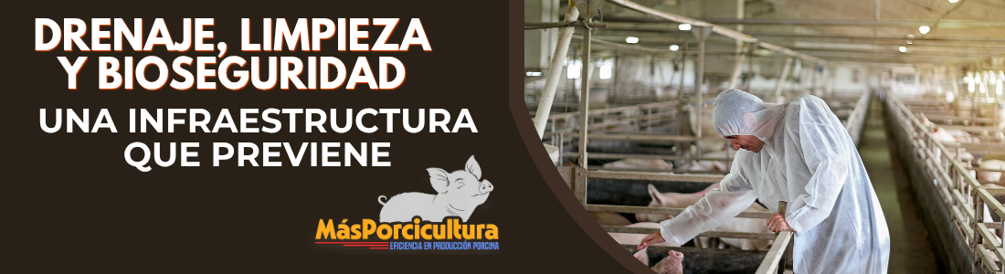Limpieza y Bioseguridad