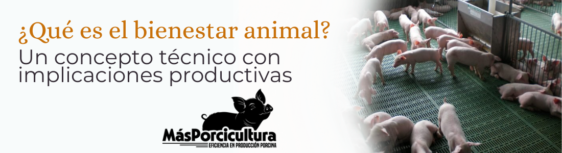Bienestar animal Que es el bienestar animal?