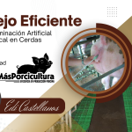 Manejo eficiente de la inseminación post cervical en cerdas: mitos, verdades y rentabilidad