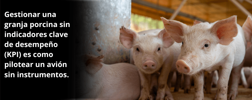 La importancia de ver indicadores de éxito Hay que saber cómo manejar una granja