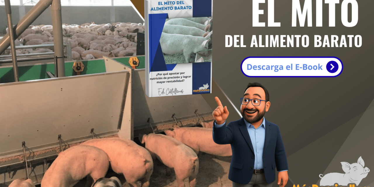 El Mito del Alimento Barato. ¿Por qué apostar por nutrición de precisión y lograr mayor rentabilidad?