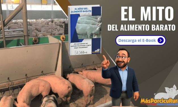 El Mito del Alimento Barato. ¿Por qué apostar por nutrición de precisión y lograr mayor rentabilidad?