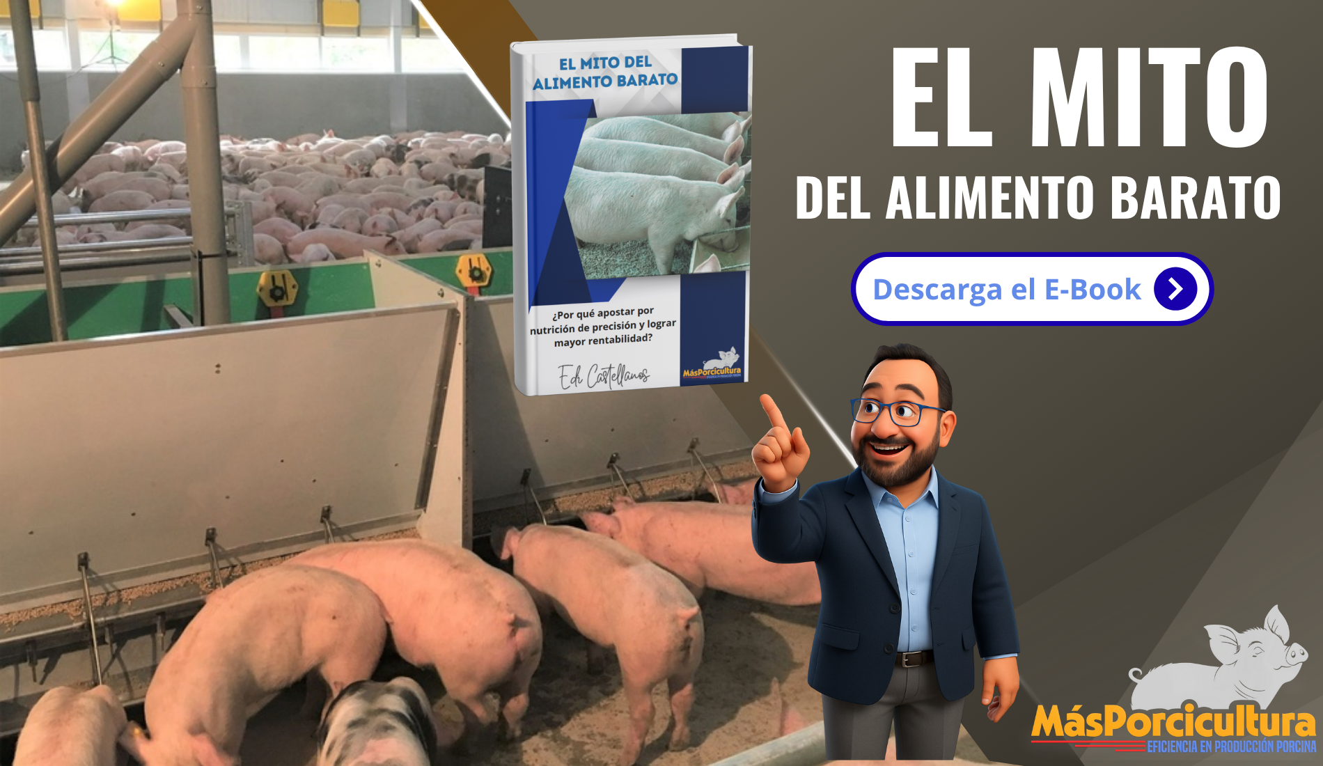 El Mito del Alimento Barato. ¿Por qué apostar por nutrición de precisión y lograr mayor rentabilidad?