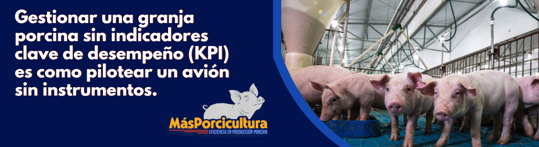 Gestionar una granja porcina sin indicadores clave de desempeño (KPI) es como pilotear un avión sin instrumentos. Gestionar una granja porcina sin indicadores clave de desempeño (KPI) es como pilotear un avión sin instrumentos.