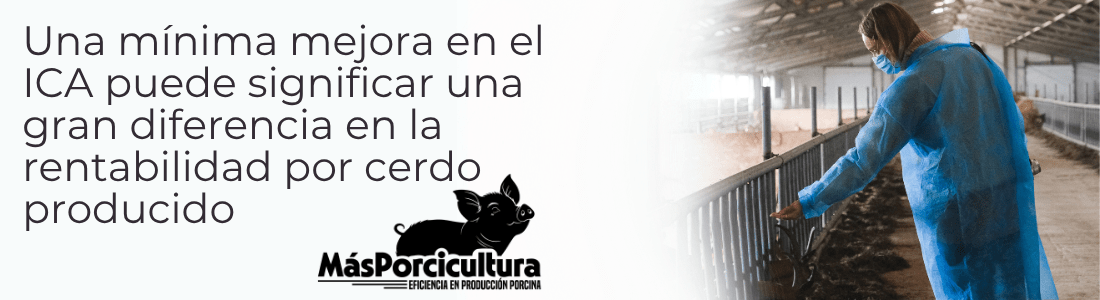 Importancia y Beneficios en la Producción Porcina Una mínima mejora en el ICA puede significar una gran diferencia en la rentabilidad por cerdo producido