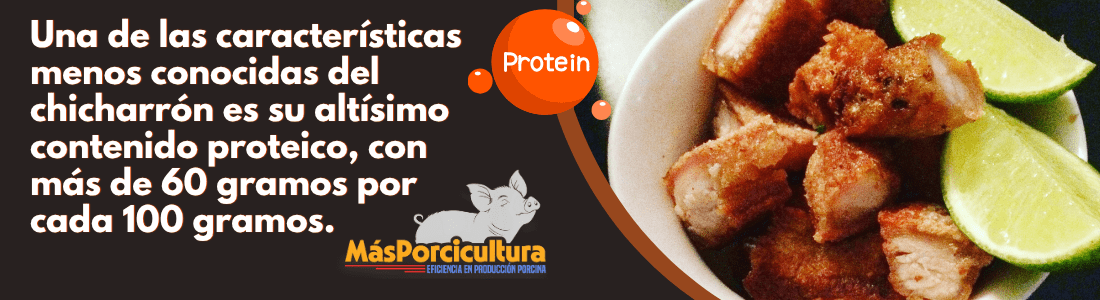 El chicharron fuente de proteina El chicharron fuente de proteina