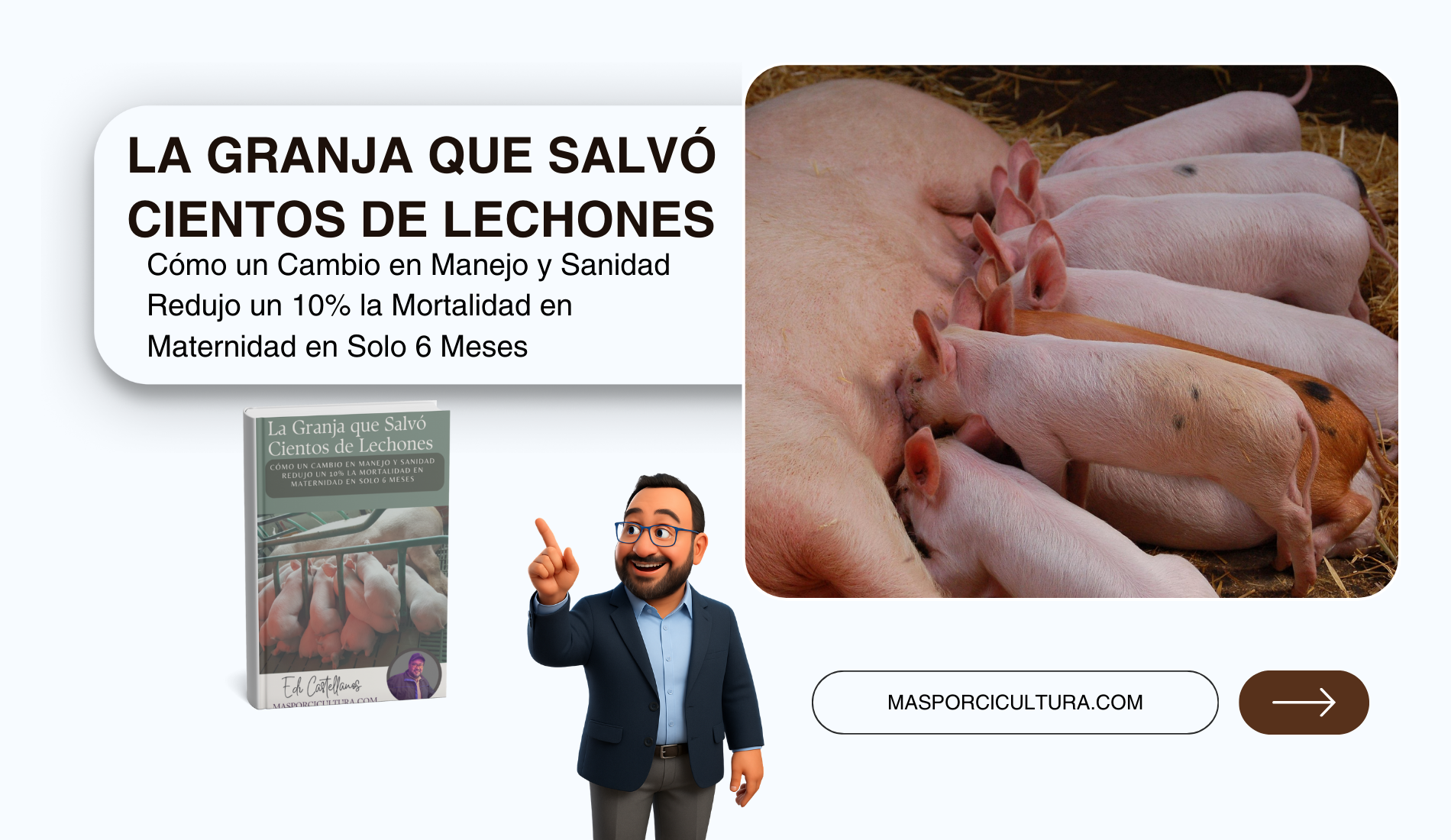 La Granja que Salvó Cientos de Lechones: Cómo un Cambio en Manejo y Sanidad Redujo un 10% la Mortalidad en Maternidad en Solo 6 Meses