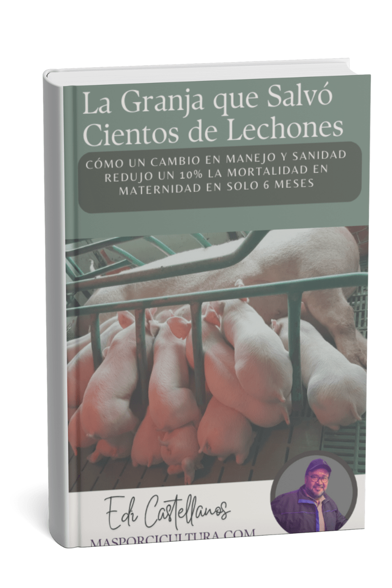Mockups-ebook-MasPorcicultura