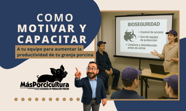 Cómo motivar y capacitar a tu equipo para aumentar la productividad de tu granja porcina