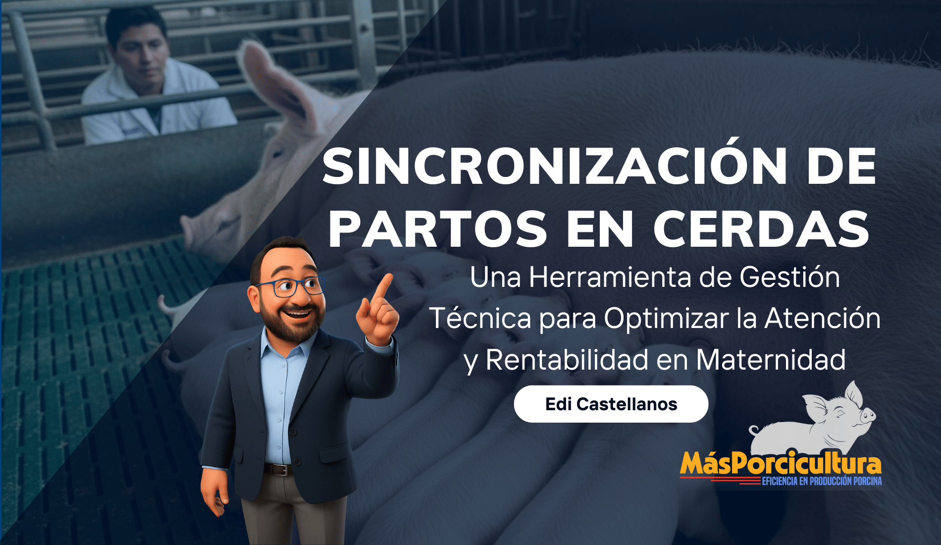 Sincronización de Partos en Cerdas: Una Herramienta de Gestión Técnica para Optimizar la Atención y Rentabilidad en Maternidad