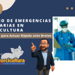 Manejo de Emergencias Sanitarias en Porcicultura: Guía Técnica para Actuar Rápido ante Brotes