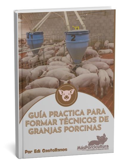 Mockup-guia-practica-