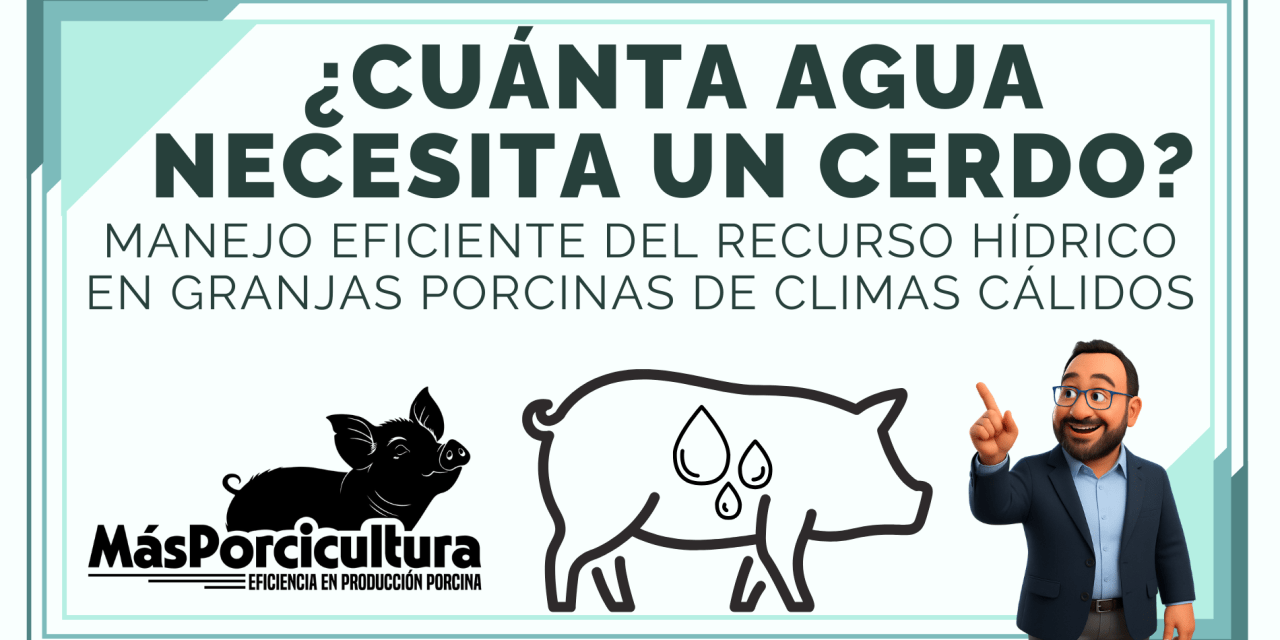 ¿Cuánta Agua Necesita un Cerdo? Manejo Eficiente del Recurso Hídrico en Granjas Porcinas de Climas Cálidos