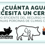 ¿Cuánta Agua Necesita un Cerdo? Manejo Eficiente del Recurso Hídrico en Granjas Porcinas de Climas Cálidos