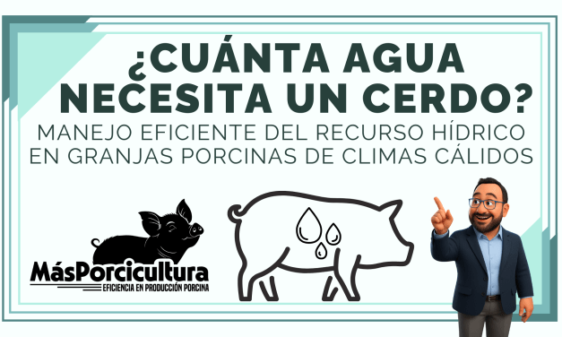 ¿Cuánta Agua Necesita un Cerdo? Manejo Eficiente del Recurso Hídrico en Granjas Porcinas de Climas Cálidos
