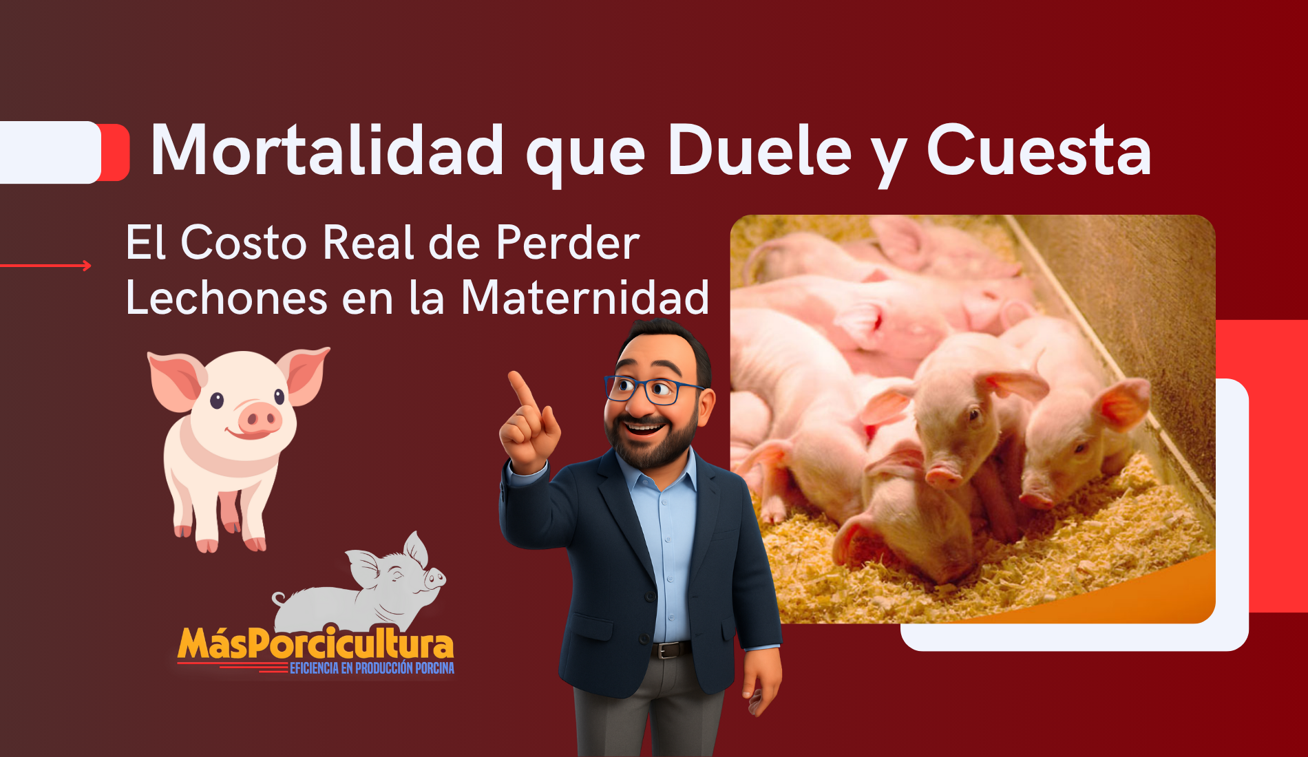 Mortalidad que Duele y Cuesta: El Costo Real de Perder Lechones en la Maternidad