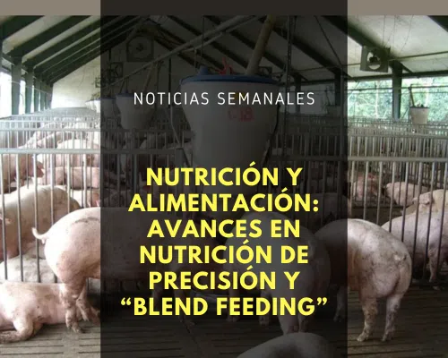 Noticias