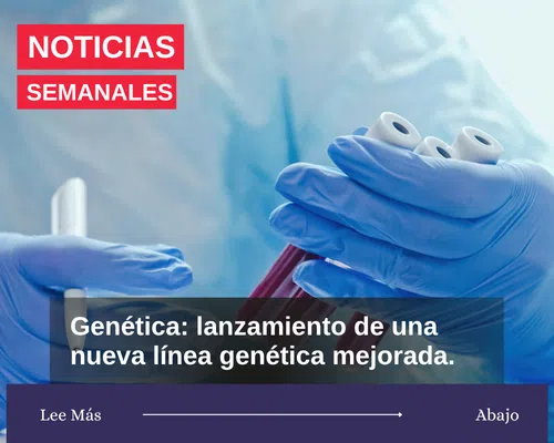 Noticias