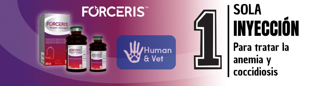 banner-forceris