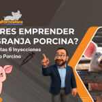 ¿Quieres Emprender una Granja Porcina? Aplícate Estas 6 Inyecciones de Realismo Porcino