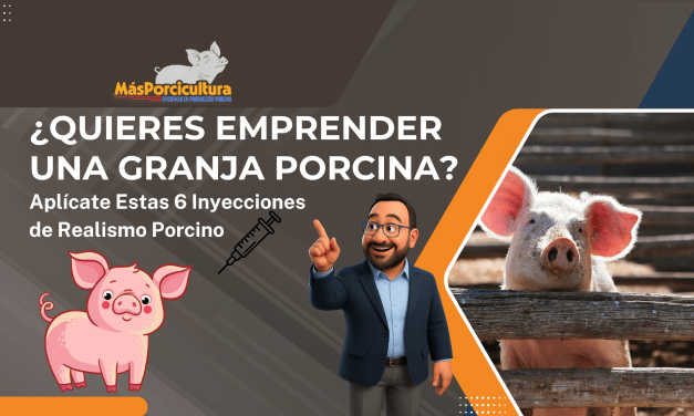 ¿Quieres Emprender una Granja Porcina? Aplícate Estas 6 Inyecciones de Realismo Porcino