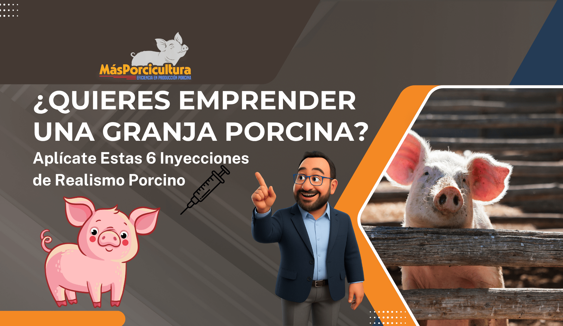 ¿Quieres Emprender una Granja Porcina? Aplícate Estas 6 Inyecciones de Realismo Porcino