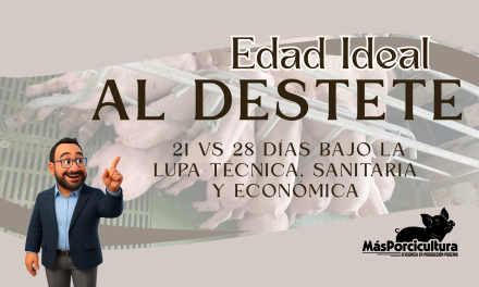 La edad ideal de destete: 21 vs 28 días bajo la lupa técnica, sanitaria y económica