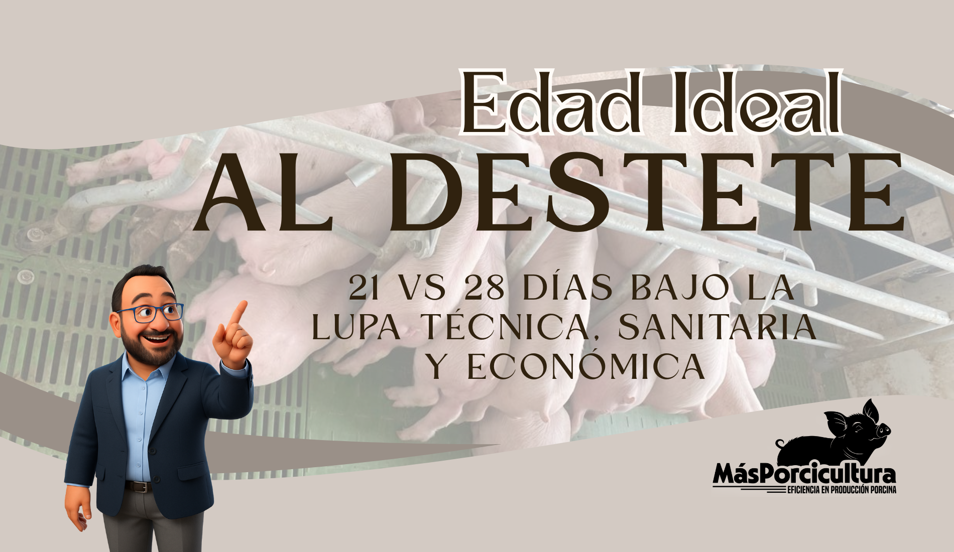 La edad ideal de destete: 21 vs 28 días bajo la lupa técnica, sanitaria y económica