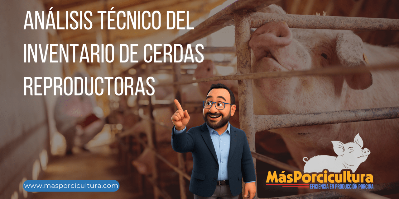 Análisis Técnico del Inventario de Cerdas Reproductoras