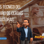 Análisis Técnico del Inventario de Cerdas Reproductoras