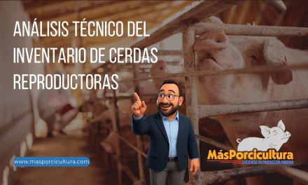 Análisis Técnico del Inventario de Cerdas Reproductoras