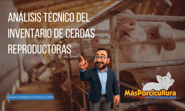Análisis Técnico del Inventario de Cerdas Reproductoras