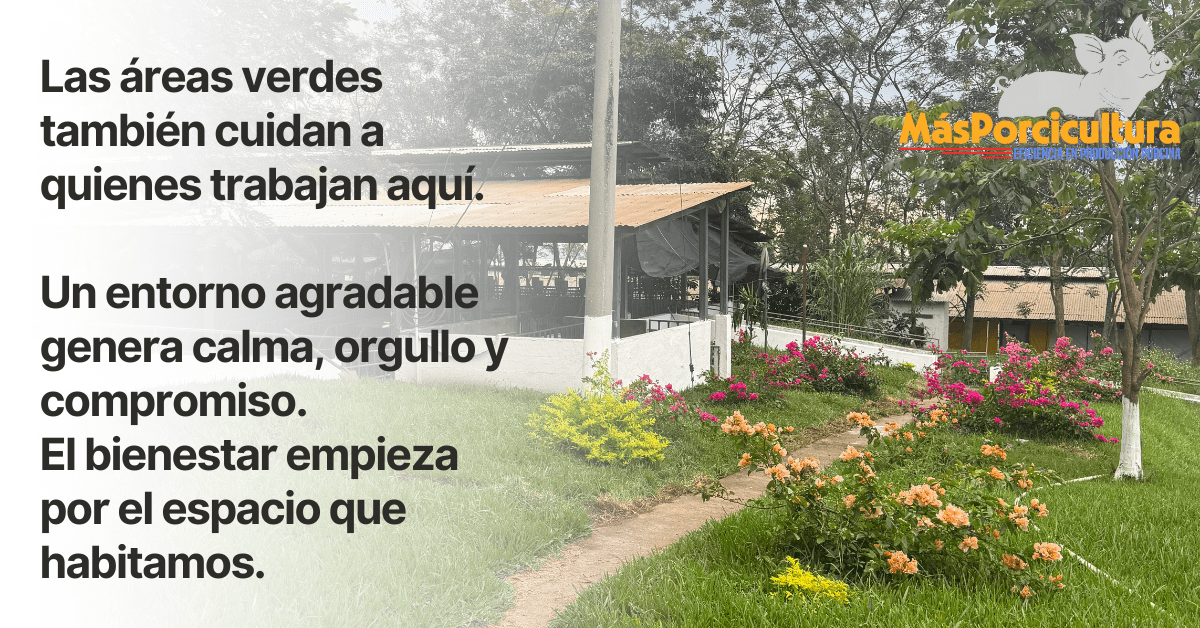 Áreas verdes en granja porcina que generan bienestar, calma y orgullo en el personal 