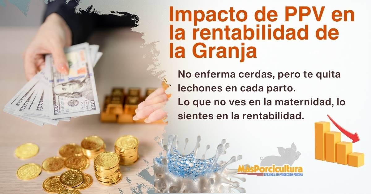 No enferma cerdas, pero te quita lechones en cada parto.<br />
Lo que no ves en la maternidad, lo sientes en la rentabilidad.