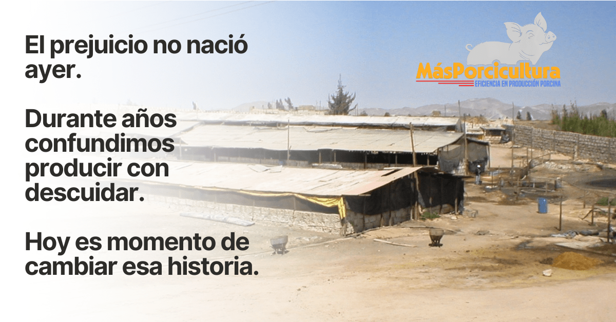 Prejuicio histórico sobre la granja porcina asociado al descuido y desorden 