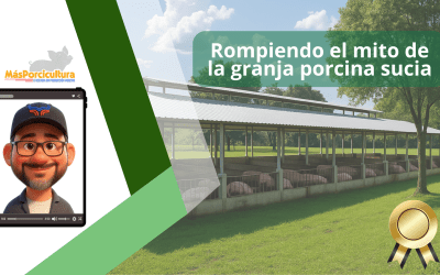 Rompiendo el mito de la granja porcina sucia