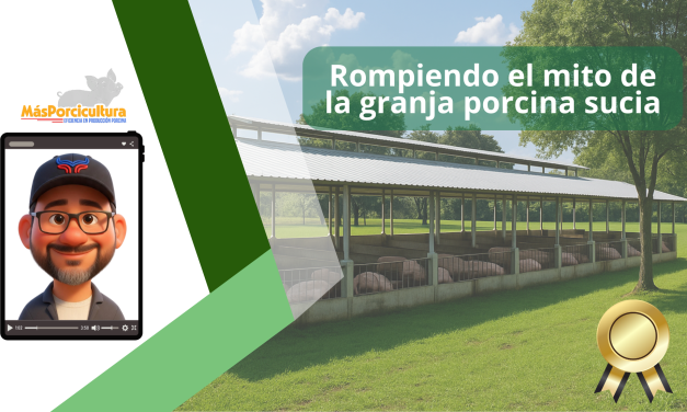 Rompiendo el mito de la granja porcina sucia