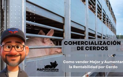 Comercialización de Cerdos: Cómo Vender Mejor y Aumentar la Rentabilidad por Cerdo