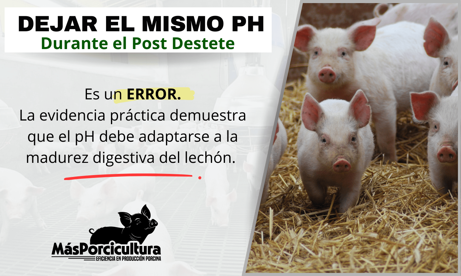 Acidificacion de Agua Porque no dar un solo ph