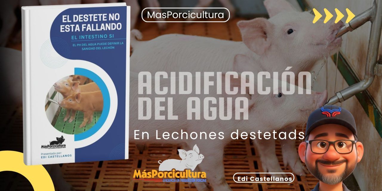 Acidificación del Agua de Bebida en Lechones Destetados