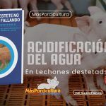 Acidificación del Agua de Bebida en Lechones Destetados