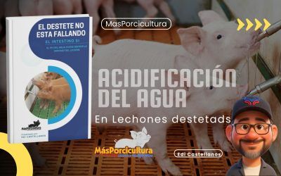 Acidificación del Agua de Bebida en Lechones Destetados