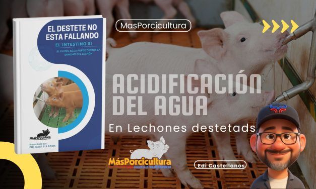 Acidificación del Agua de Bebida en Lechones Destetados