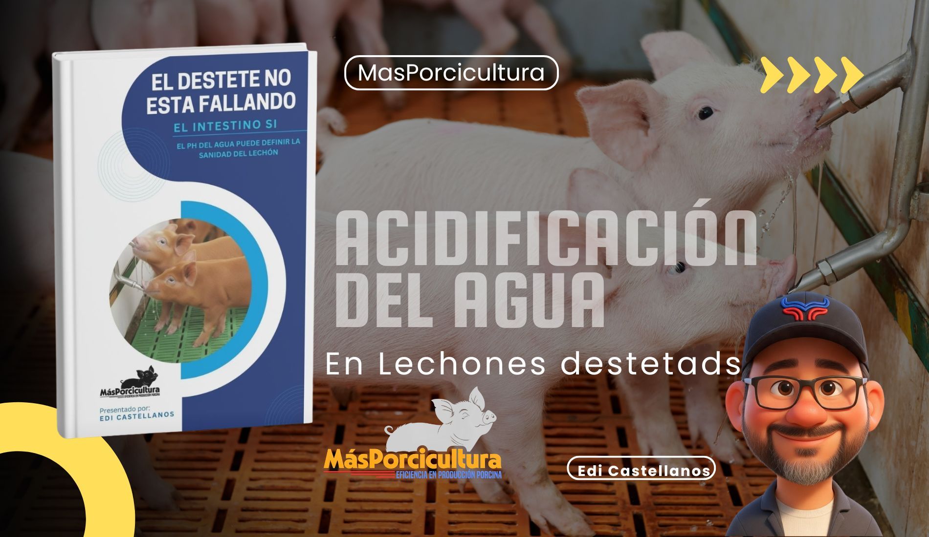 Acidificación del Agua de Bebida en Lechones Destetados