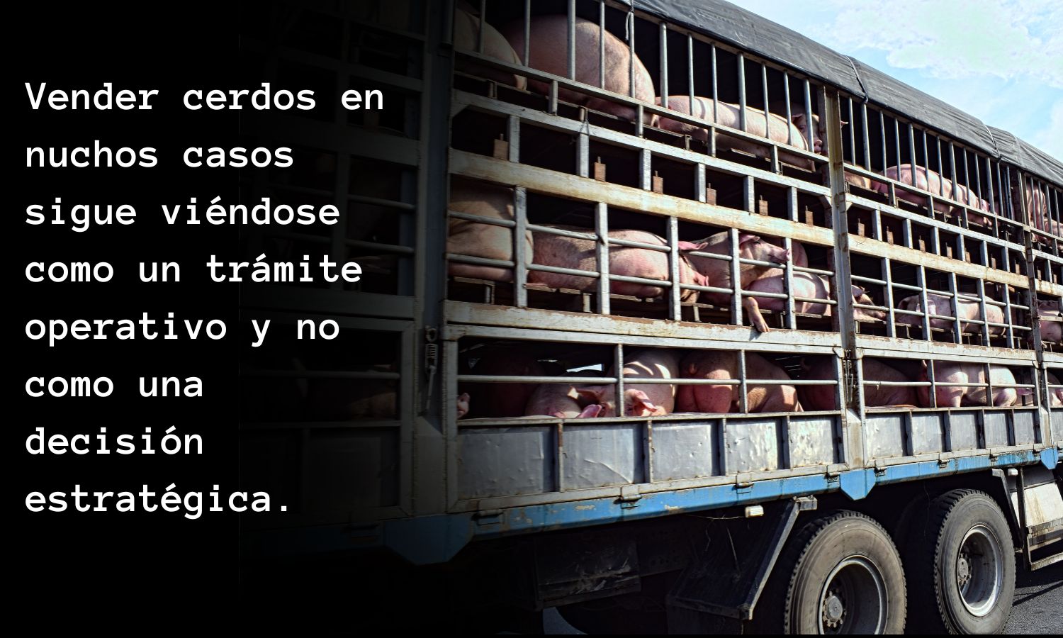 Vender cerdo sigue viendose como un tramite